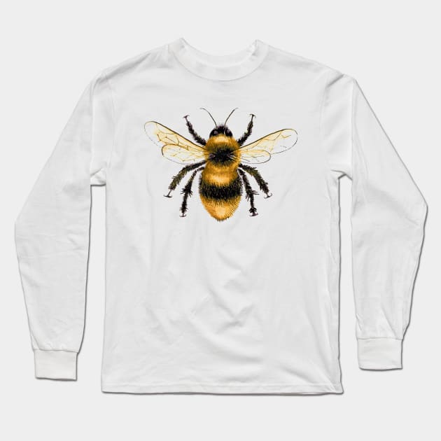 Bumblebee Long Sleeve T-Shirt by DanaBeyer